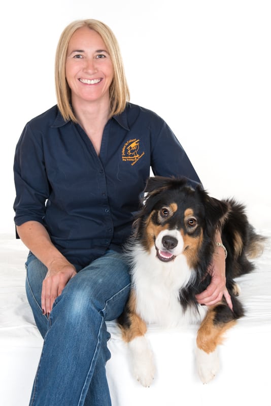 6 month dog trainer professional training program with Alexis Davison
