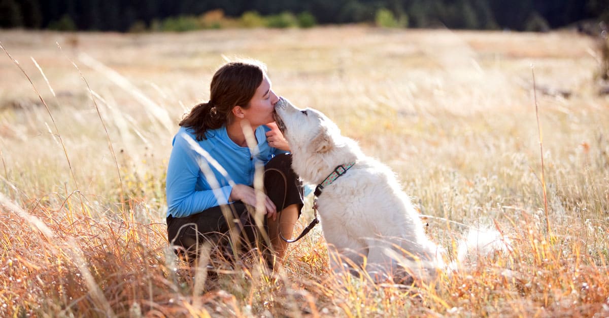 6 month dog trainer professional training program with Shelly Brouwer