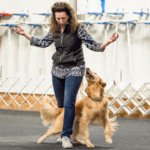 6 month dog trainer professional training program with Emma Parsons