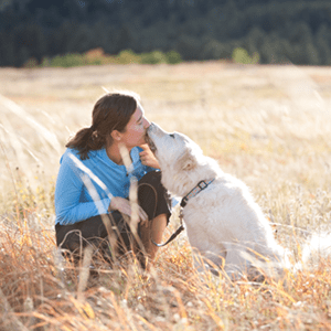 6 month dog trainer professional training program with Shelly Brouwer