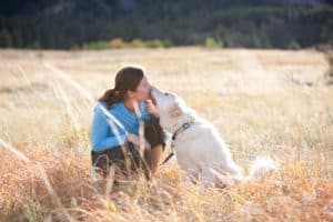6 month dog trainer professional training program with Shelly Brouwer