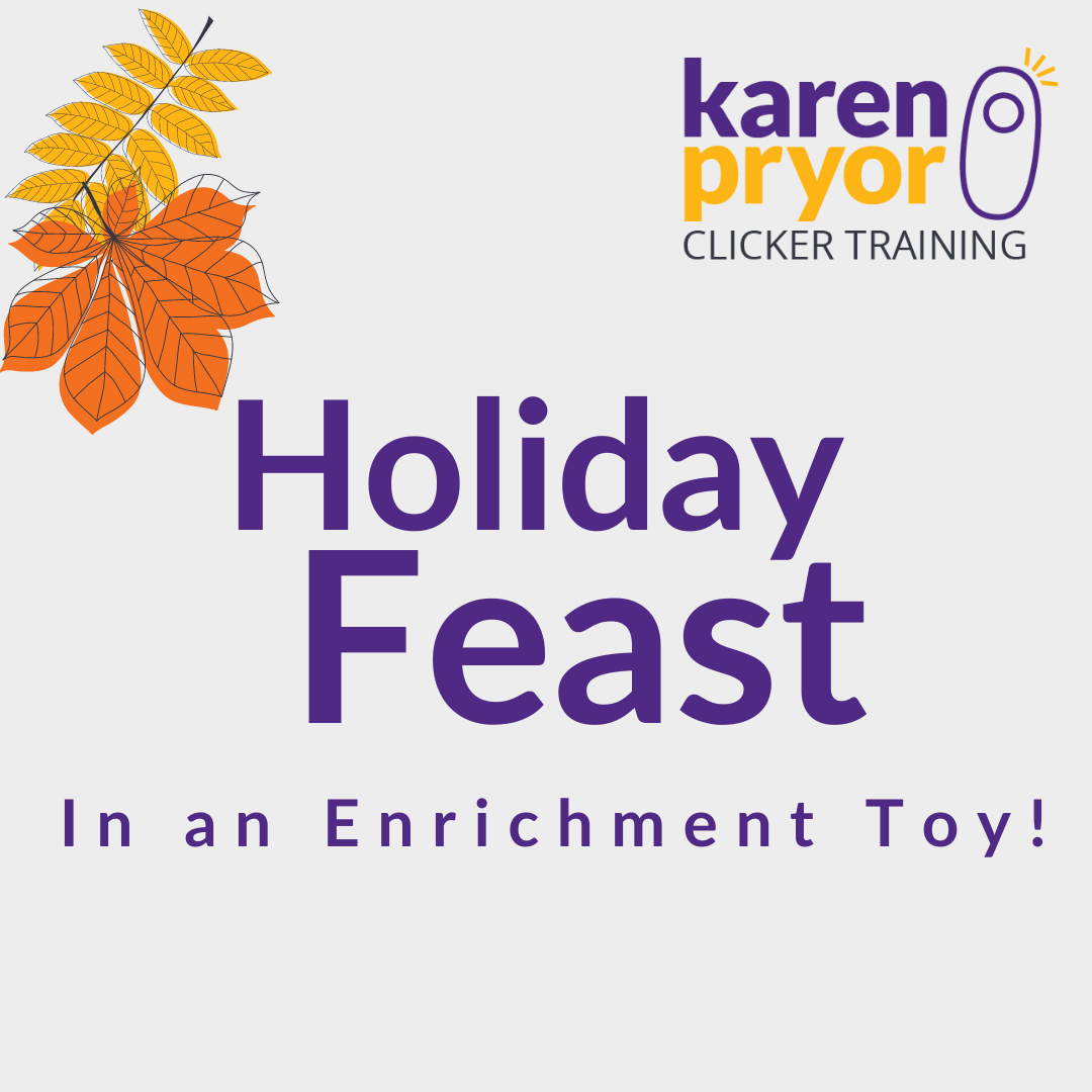 Featured image for “Holiday Feast—in an Enrichment Toy”