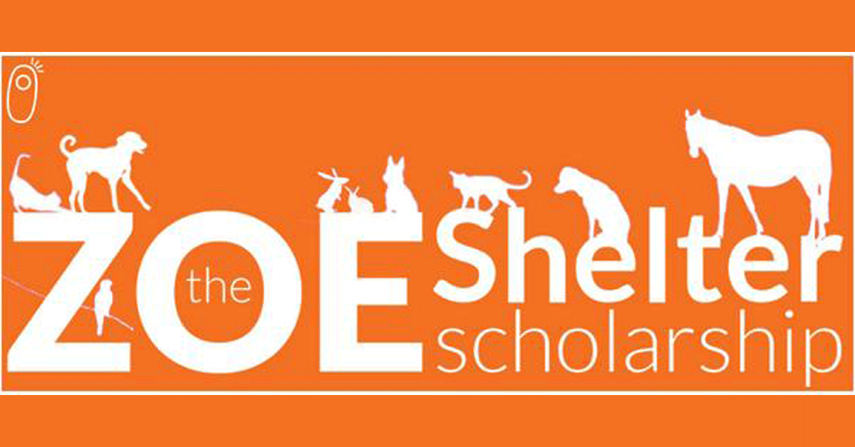 Featured image for “2018 Zoe Shelter Scholarships Available”