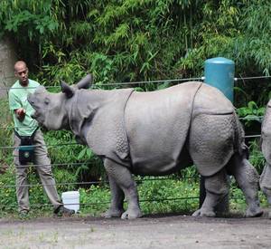 KPA Black Voices in the Animal-Care COmmunity