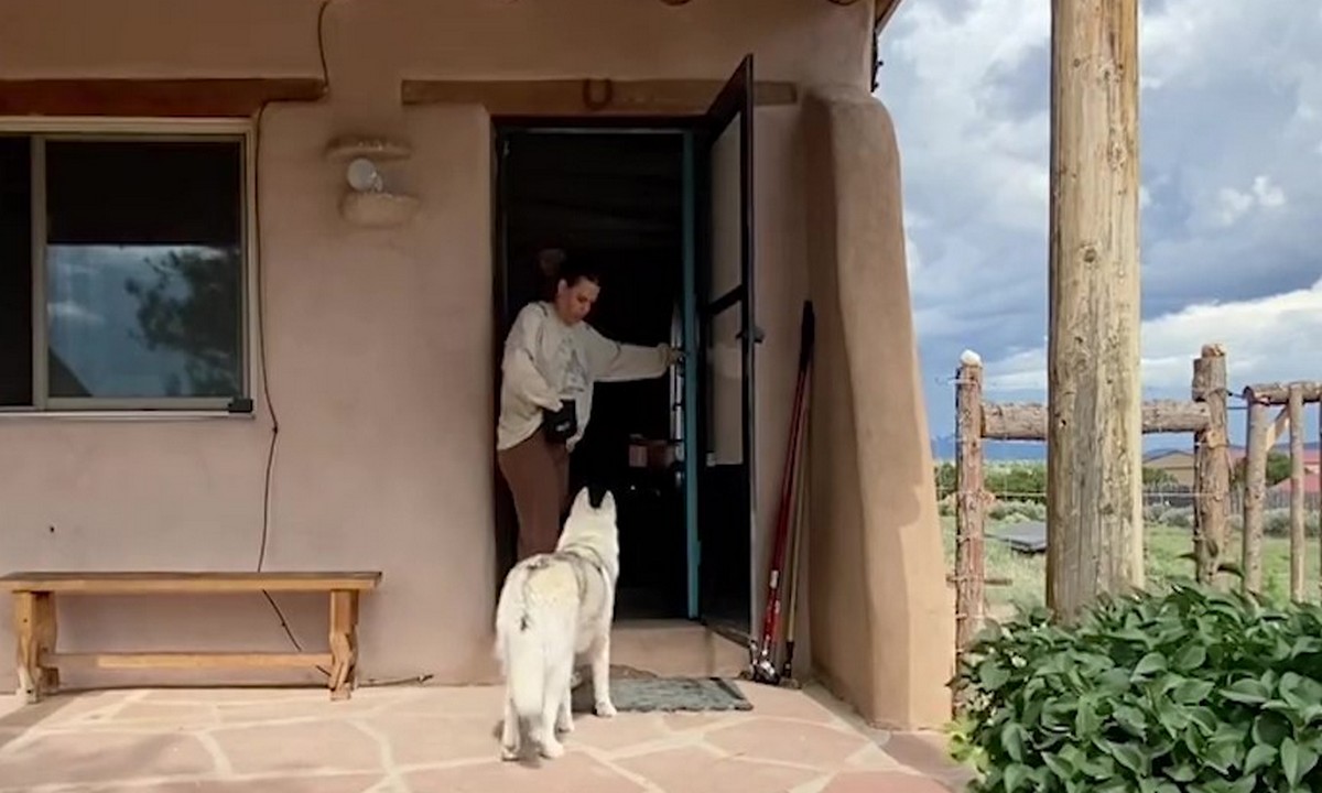 Featured image for “Helping Dogs Learn to Come Inside”
