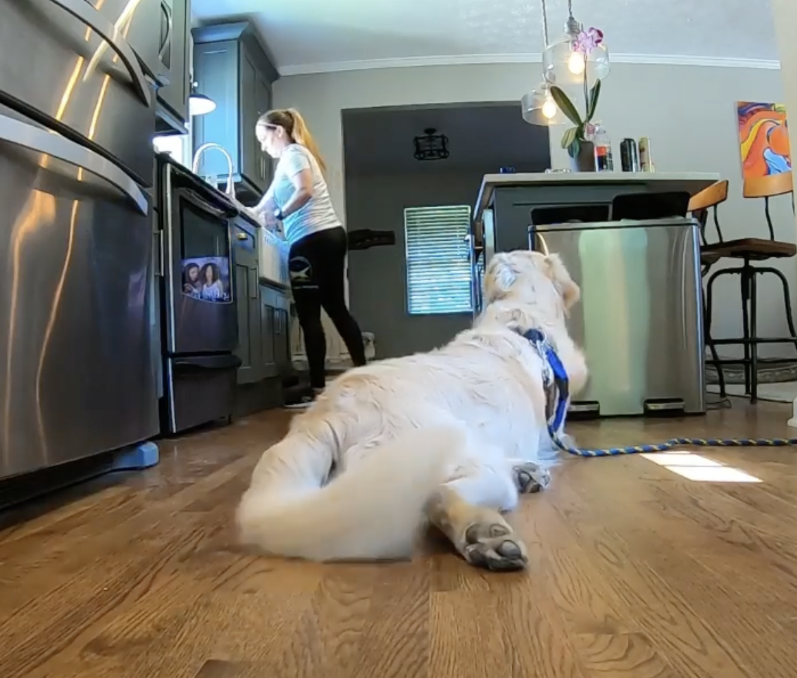Featured image for “How to Manage Counter-Surfing”
