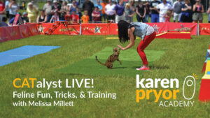 CATalyst-LIVE!-Feline-Fun,-Tricks,-and-Training-with-Melissa-Millett