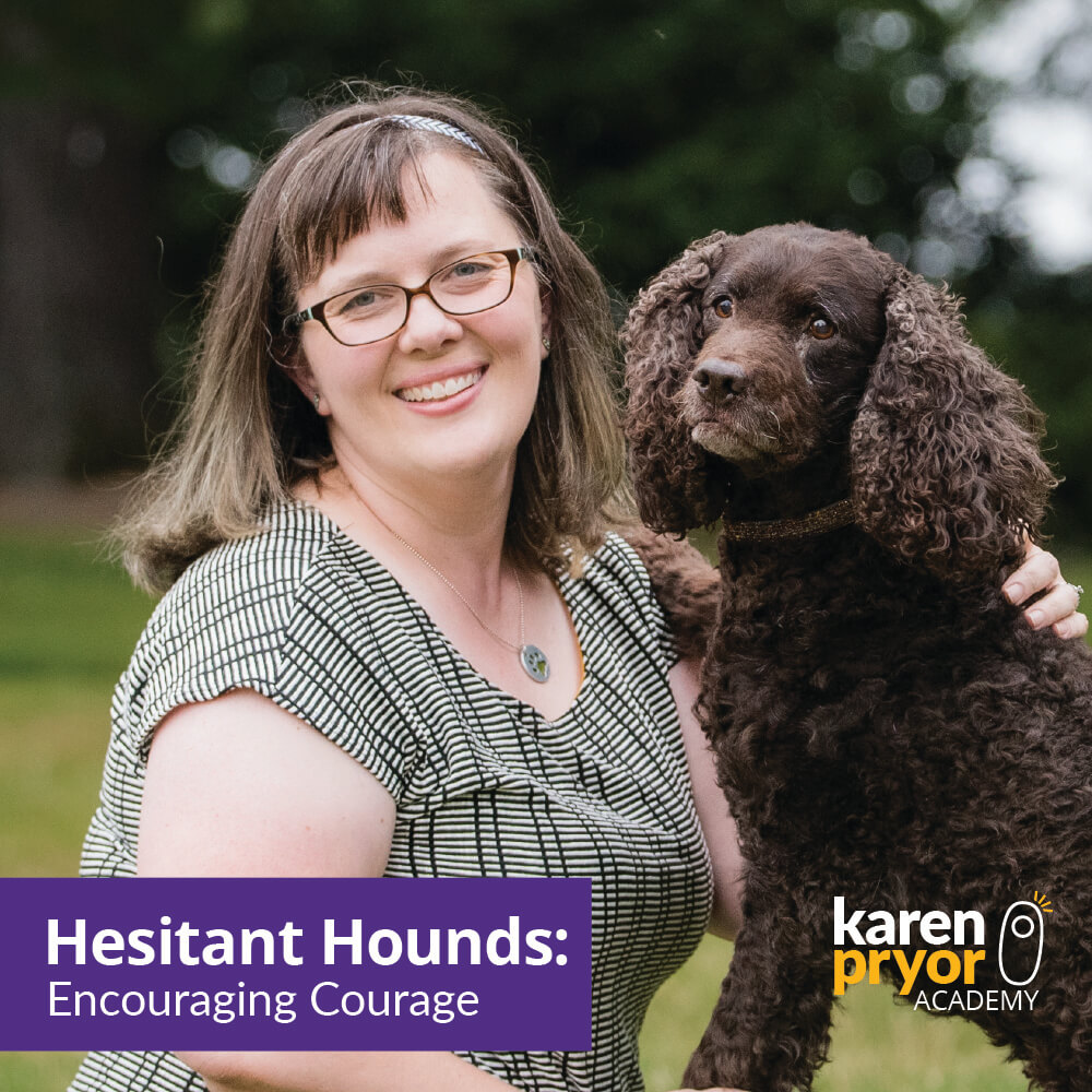 Hesitant Hounds Encouraging Courage Learn More 1000x1000